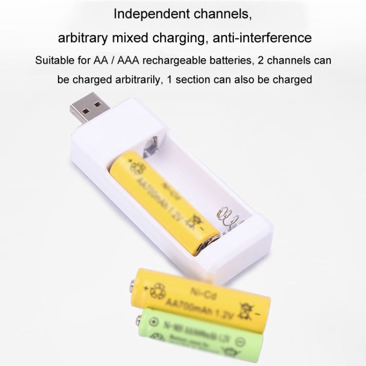 Directly Inserted 2 Slots USB AA / AAA Rechargeable Battery Charger - HoMEdemic™ 