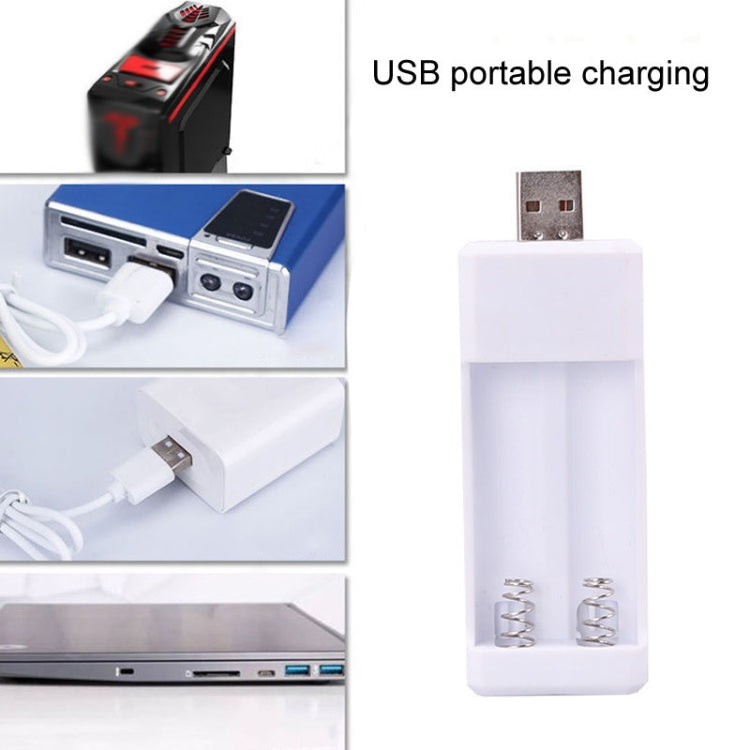 Directly Inserted 2 Slots USB AA / AAA Rechargeable Battery Charger - HoMEdemic™ 