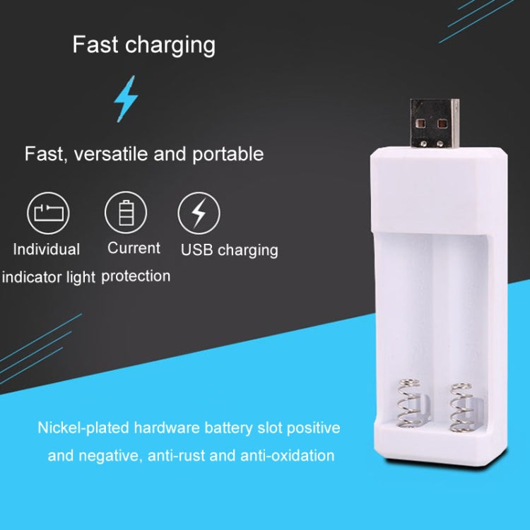 Directly Inserted 2 Slots USB AA / AAA Rechargeable Battery Charger - HoMEdemic™ 