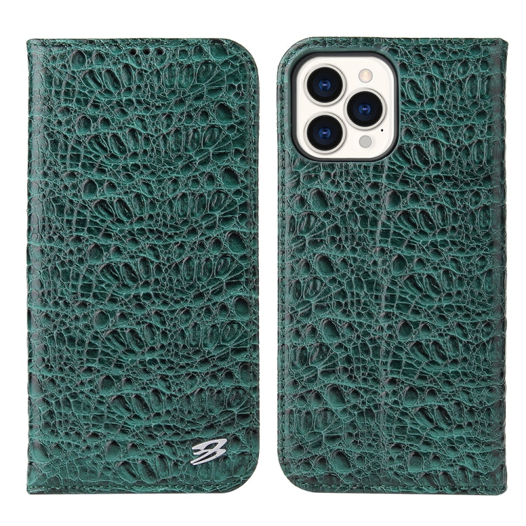 For iPhone 13 Pro Fierre Shann Crocodile Texture Magnetic Horizontal Flip Genuine Leather Case with Holder & Card Slot (Green) - HoMEdemic™ 