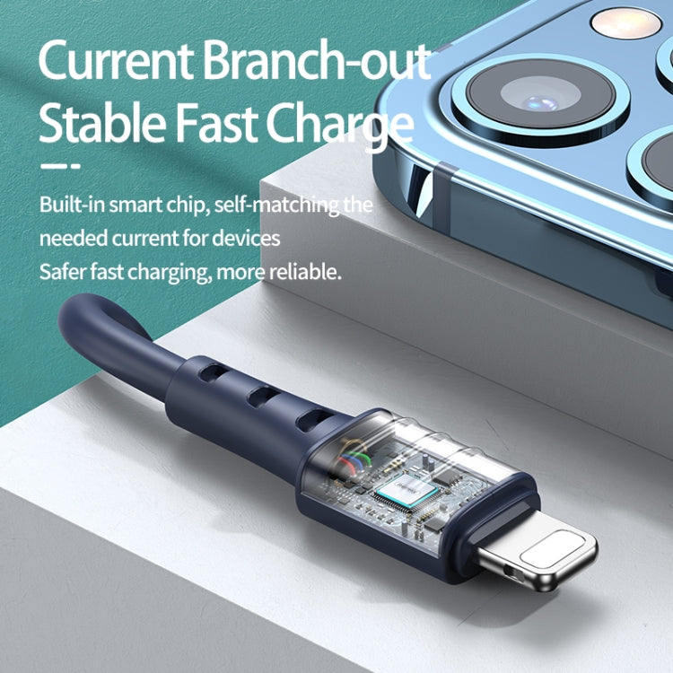 REMAX RC-179i 2.4A 8 Pin High Elastic TPE Fast Charging Data Cable, Length: 1m(Blue) - HoMEdemic™ 