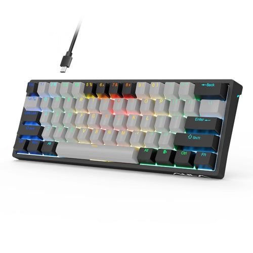 AULA F3261 Type-C Wired Hot Swappable 61 Keys RGB Mechanical Keyboard(Black Grey Tea Shaft) - HoMEdemic™ 