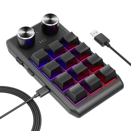 USB Wired 12KV2 MOLD Mini Mechanical 12 Keys 2 Knob Custom Programming Keyboard(Black) - HoMEdemic™ 