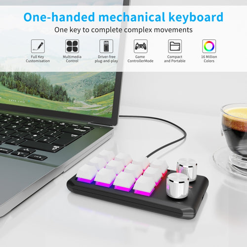 USB Wired 12KV2 MOLD Mini Mechanical 12 Keys 2 Knob Custom Programming Keyboard(White) - HoMEdemic™ 