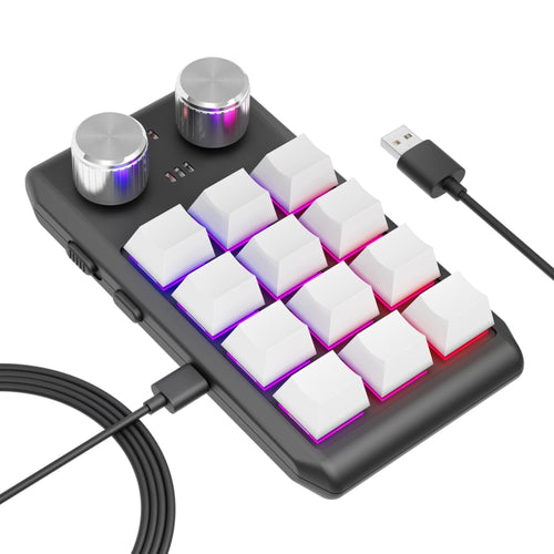 USB Wired 12KV2 MOLD Mini Mechanical 12 Keys 2 Knob Custom Programming Keyboard(White) - HoMEdemic™ 