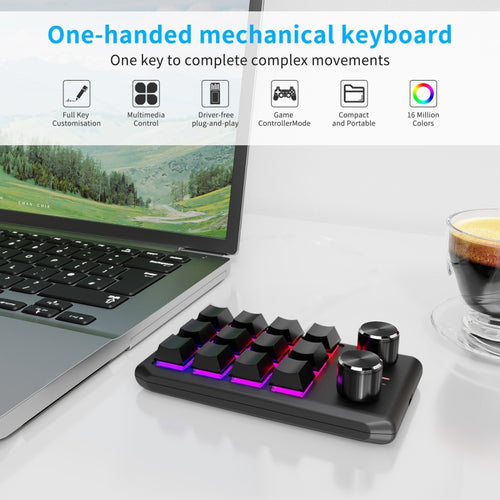 Bluetooth Wireless 12KV2 MOLD Mini Mechanical 12 Keys 2 Knob Custom Programming Keyboard(Black) - HoMEdemic™ 