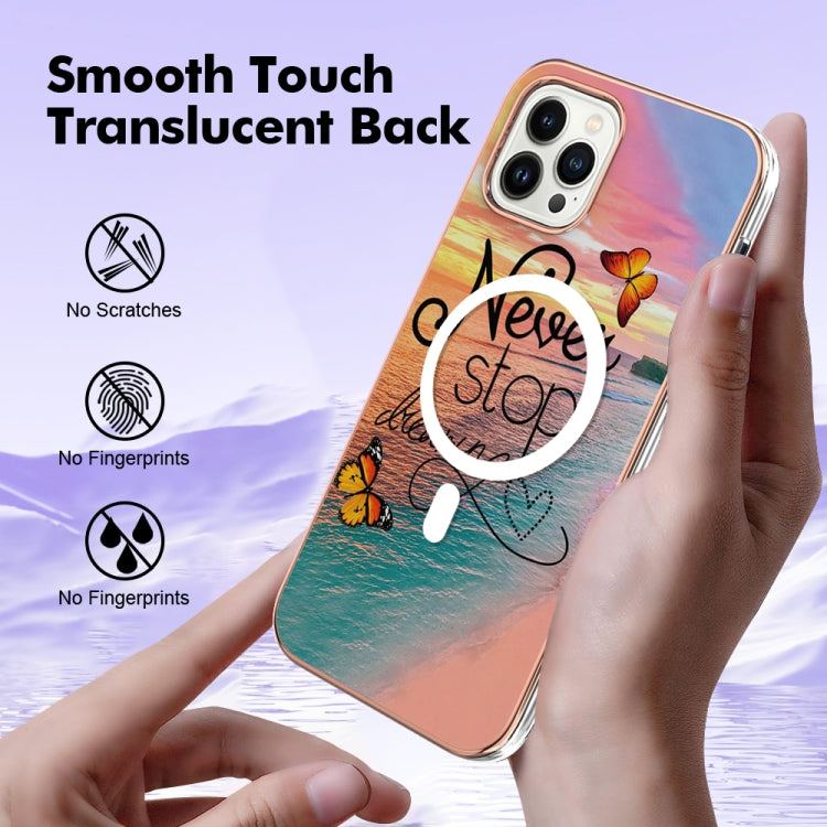 For iPhone 15 Pro Marble Pattern Dual-side IMD Magsafe TPU Phone Case(Dream Butterfly) - HoMEdemic™ 