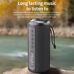 Zealot S46 TWS Portable Wireless Bluetooth Speaker with Colorful Light(Black) - HoMEdemic™ 