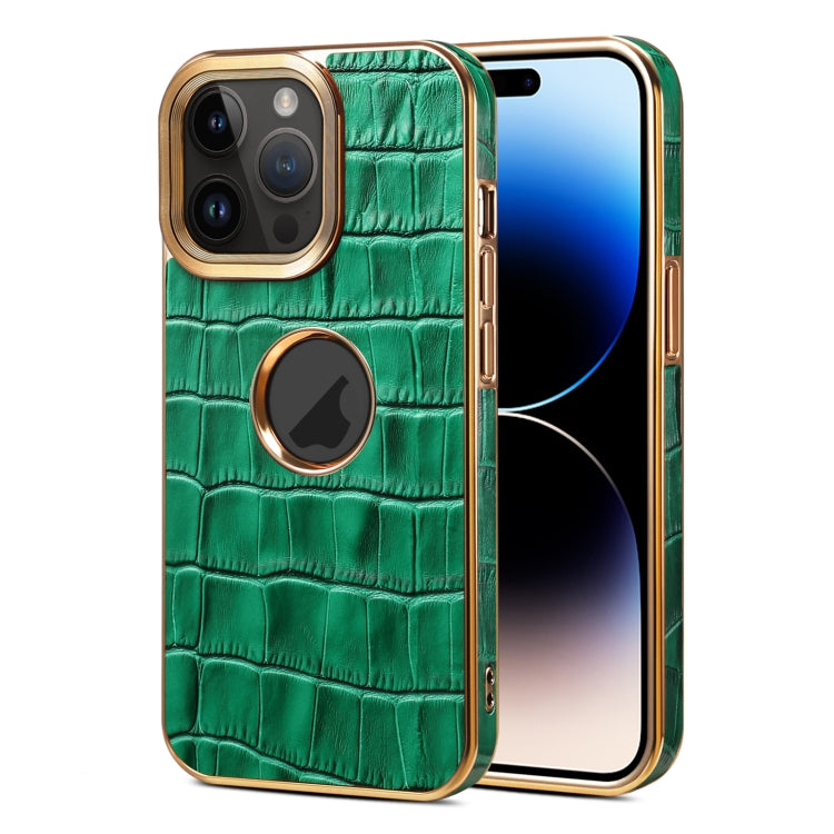 For iPhone 14 Pro Denior Crocodile Texture Genuine Leather Electroplating Phone Case(Green) - HoMEdemic™ 