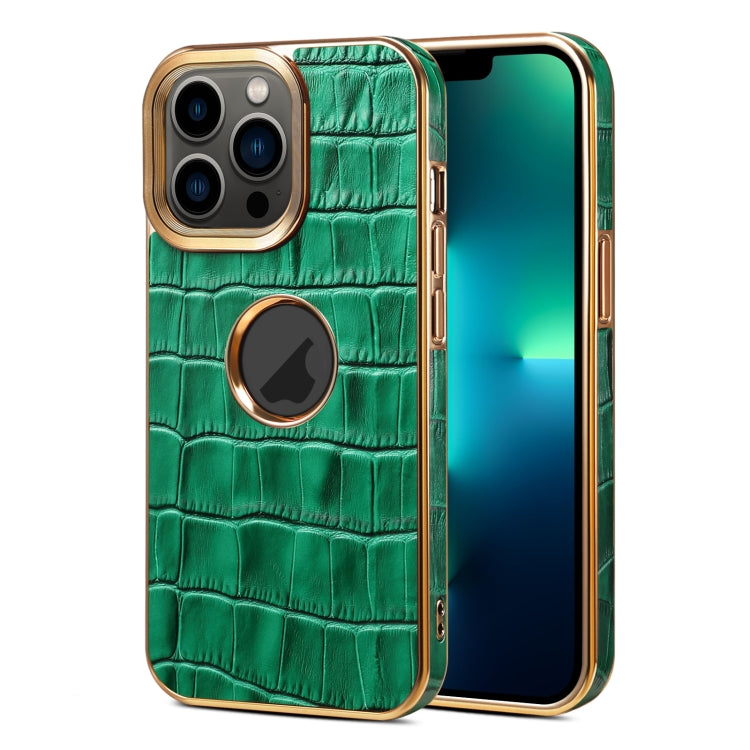 For iPhone 13 Pro Max Denior Crocodile Texture Genuine Leather Electroplating Phone Case(Green) - HoMEdemic™ 