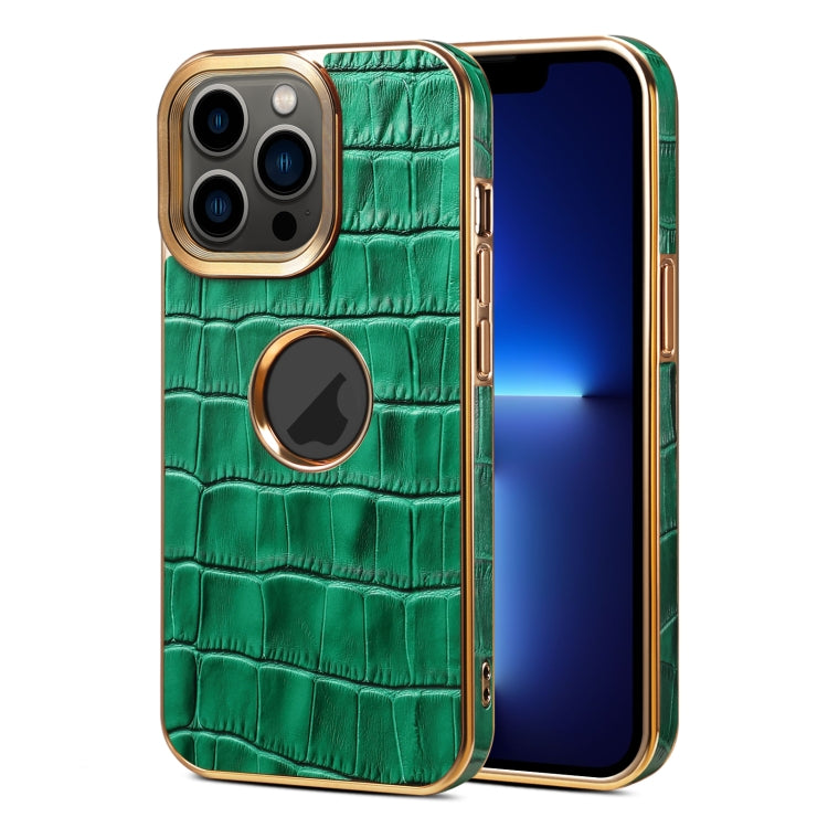 For iPhone 13 Pro Denior Crocodile Texture Genuine Leather Electroplating Phone Case(Green) - HoMEdemic™ 