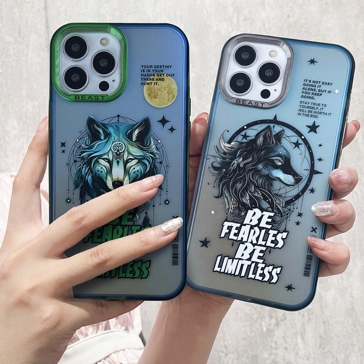 For iPhone 15 Pro Aurora Series Painted Pattern Phone Case(Black Wolf) - HoMEdemic™ 