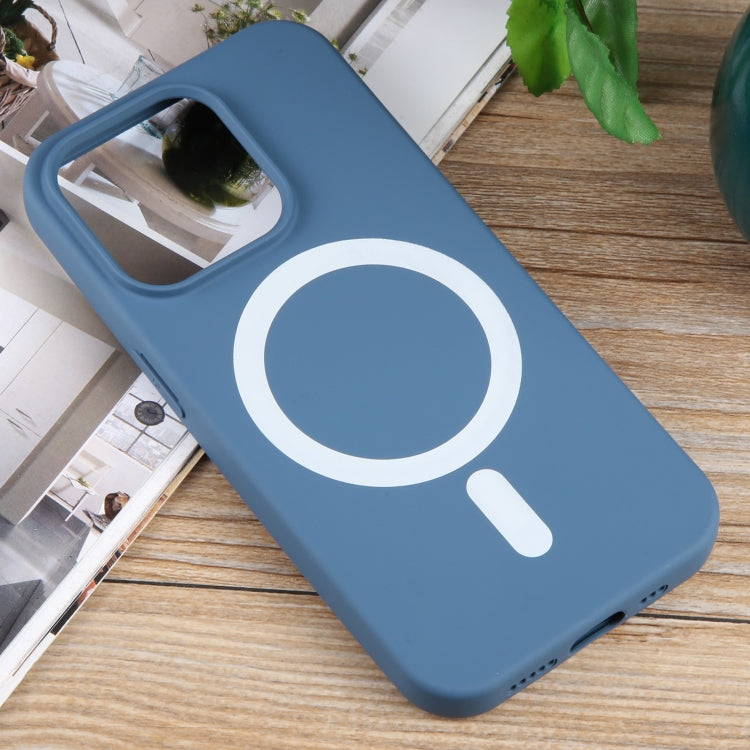 For iPhone 15 Pro Max MagSafe Liquid Silicone Phone Case(Blue) - HoMEdemic™ 