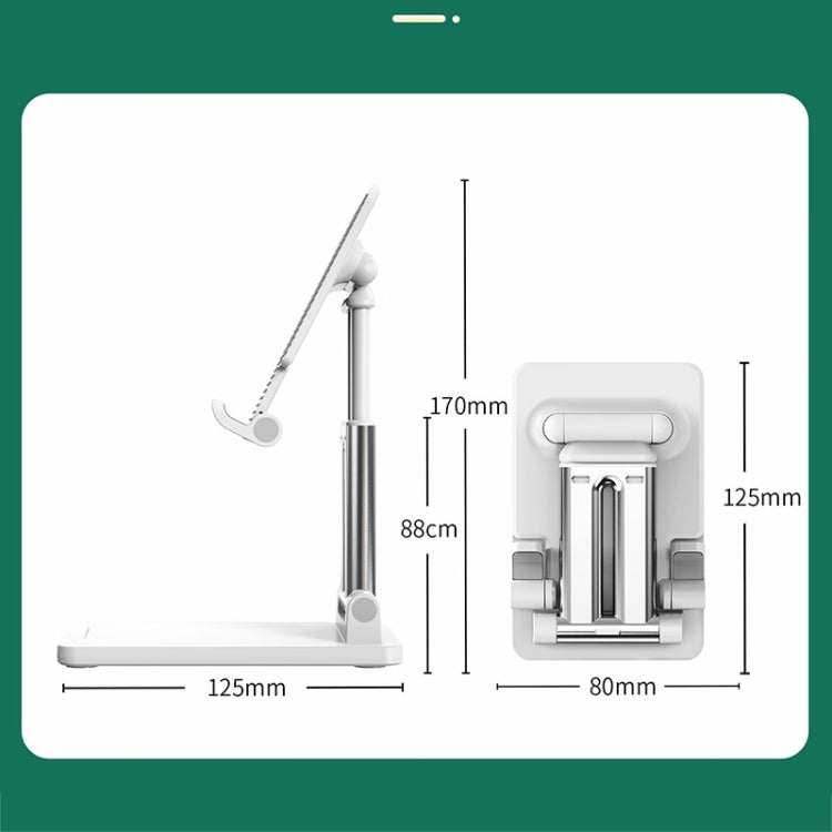 Lenovo Thinkplus Desktop Tablet PC Holder E202(Black) - HoMEdemic™ 
