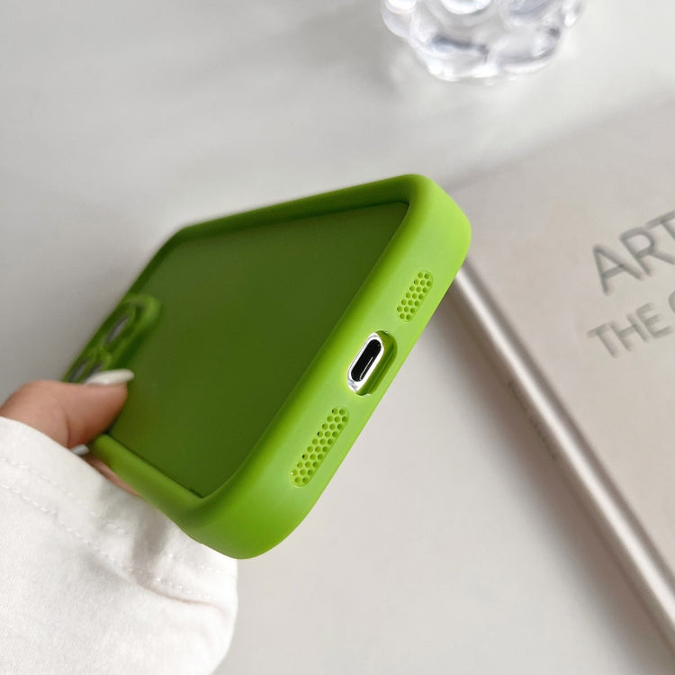 For iPhone 15 Pro Max Fine Hole Shockproof Frame Frosted TPU Phone Case(Green) - HoMEdemic™ 