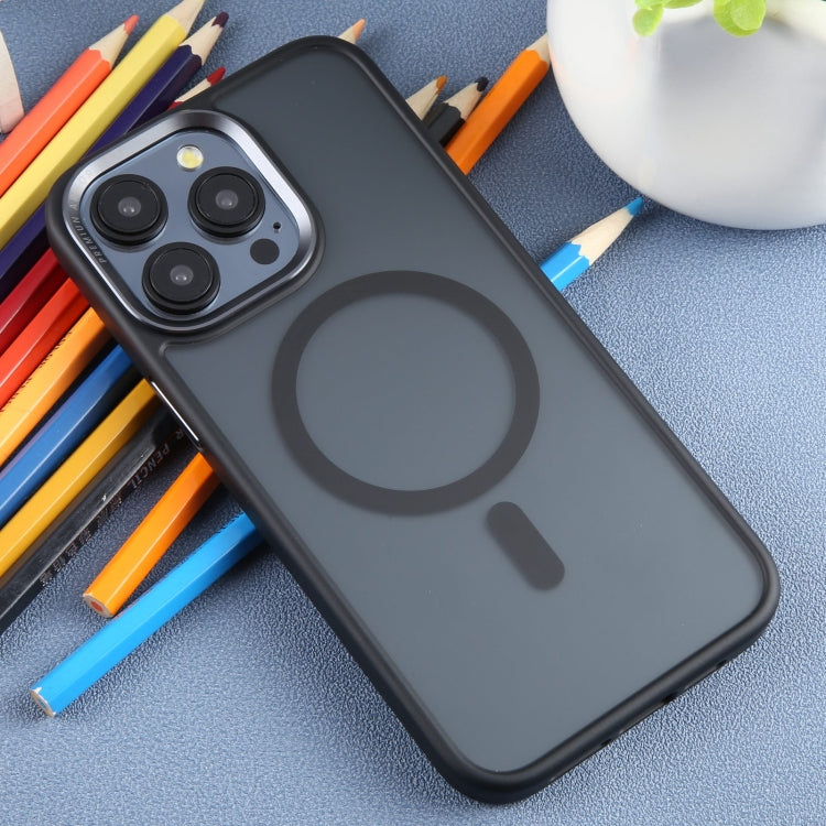 For iPhone 15 Pro Max DFANS DESIGN Magsafe Magnetic Phone Case(Black) - HoMEdemic™ 