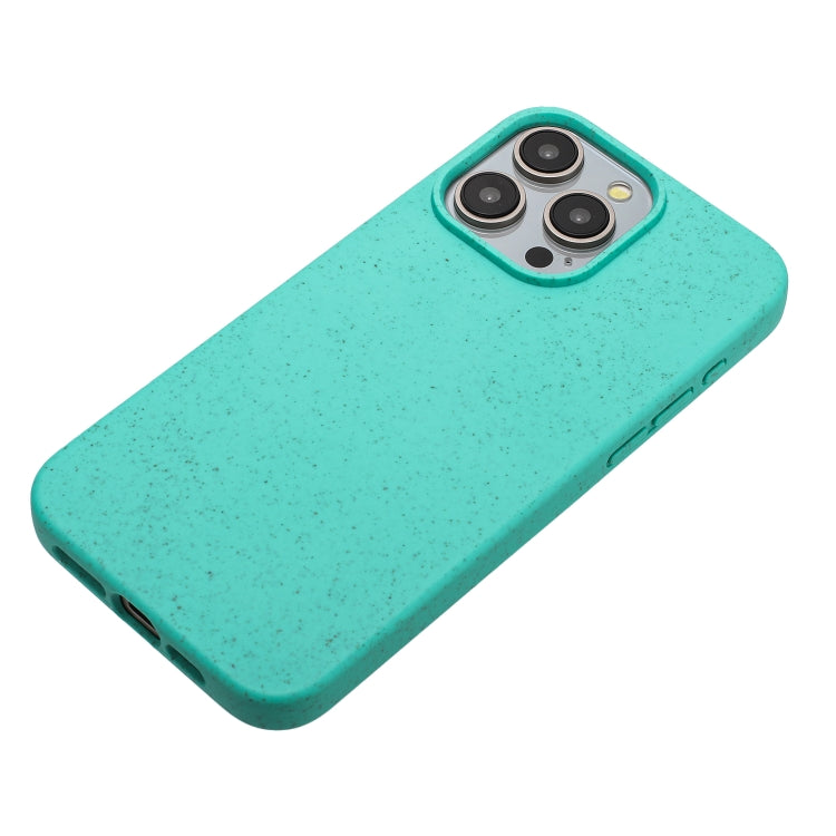 For iPhone 15 Pro Wheat MagSafe Magnetic Straw Material + TPU Phone Case(Green) - HoMEdemic™ 