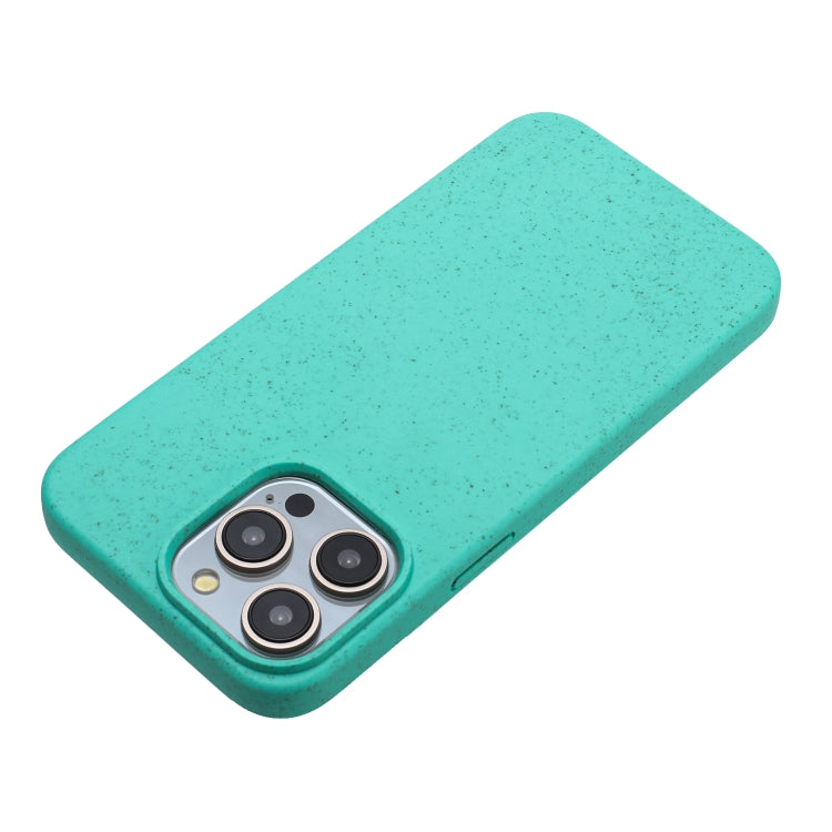 For iPhone 15 Pro Wheat MagSafe Magnetic Straw Material + TPU Phone Case(Green) - HoMEdemic™ 