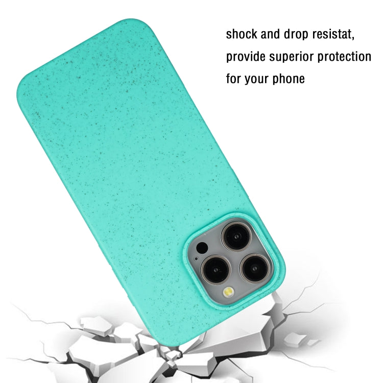 For iPhone 15 Pro Wheat MagSafe Magnetic Straw Material + TPU Phone Case(Green) - HoMEdemic™ 