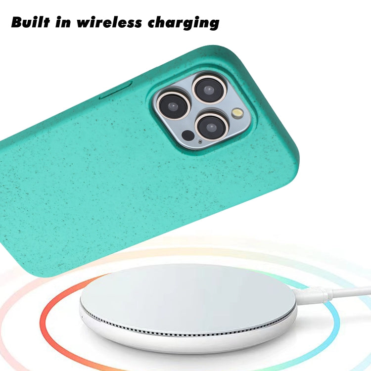 For iPhone 15 Pro Wheat MagSafe Magnetic Straw Material + TPU Phone Case(Green) - HoMEdemic™ 