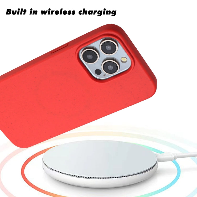 For iPhone 15 Pro Wheat MagSafe Magnetic Straw Material + TPU Phone Case(Red) - HoMEdemic™ 