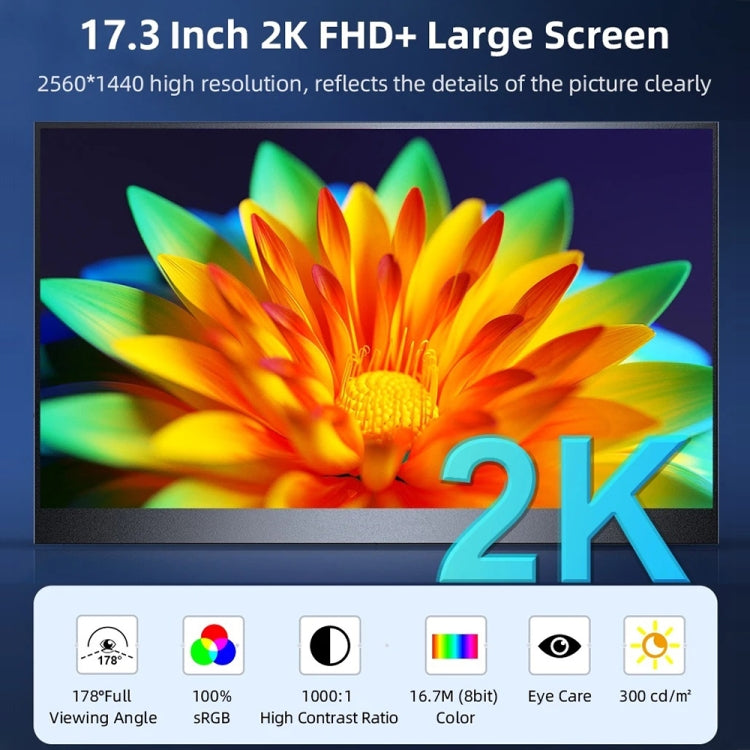 17.3 inch UHD 2560x1440P IPS Screen Portable Monitor(No Charger) - HoMEdemic™ 