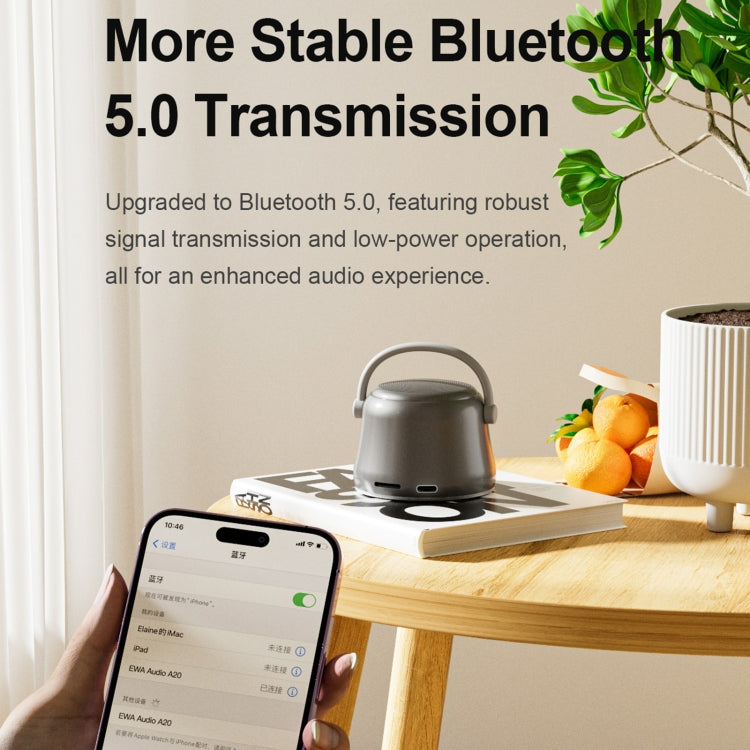 EWA A20 Mini Bluetooth Bass Radiator Metal Speaker(Sliver) - HoMEdemic™ 
