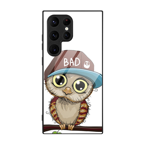 For Samsung Galaxy S24 Ultra 5G Colorful Painted Glass Phone Case(Owl) - HoMEdemic™ 