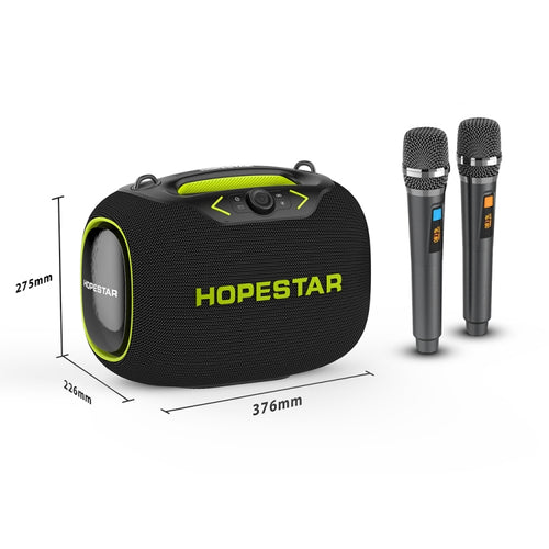 HOPESTAR Party Box 120W Karaoke Bluetooth Speaker with 2 Microphones(Black) - HoMEdemic™ 