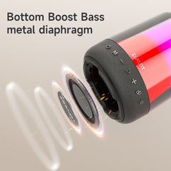 Zealot S66M RGB Rhythmic Light Karaoke Wireless Speaker, Style:Single Mic(Black) - HoMEdemic™ 