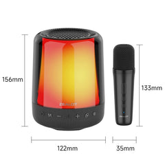 Zealot S66M RGB Rhythmic Light Karaoke Wireless Speaker, Style:Single Mic(Black) - HoMEdemic™ 