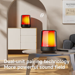 Zealot S66M RGB Rhythmic Light Karaoke Wireless Speaker, Style:Dual Mic(Black) - HoMEdemic™ 