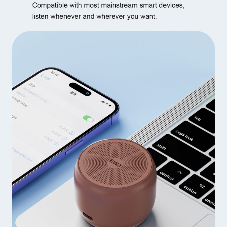 EWA A126 Mini Bluetooth 5.0 Bass Radiator Metal Speaker(Sliver) - HoMEdemic™ 