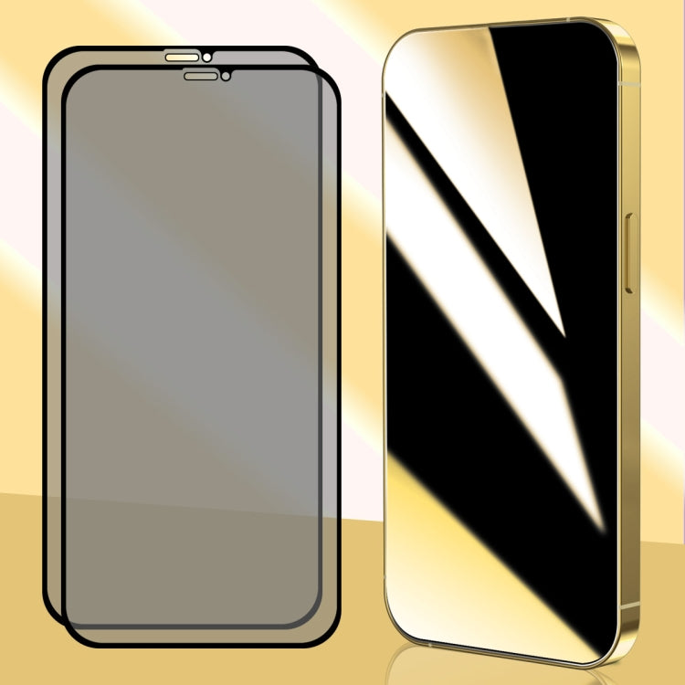 For iPhone 11 Pro Max 2pcs ENKAY Hat-Prince 25 Degree Privacy 8K UHD AGC Tempered Glass Film - HoMEdemic™ 