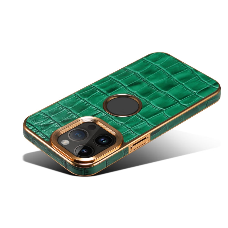 For iPhone 14 Pro Denior Crocodile Texture Genuine Leather Electroplating Phone Case(Green) - HoMEdemic™ 