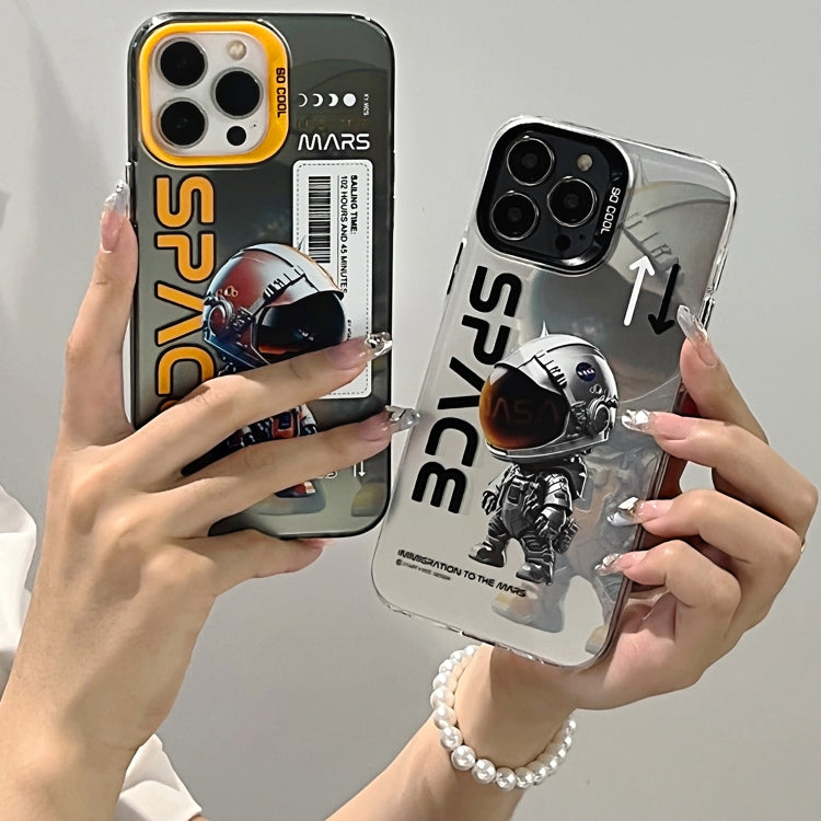 For iPhone 15 Pro Astronaut Pattern PC Phone Case(Gray Panda) - HoMEdemic™ 
