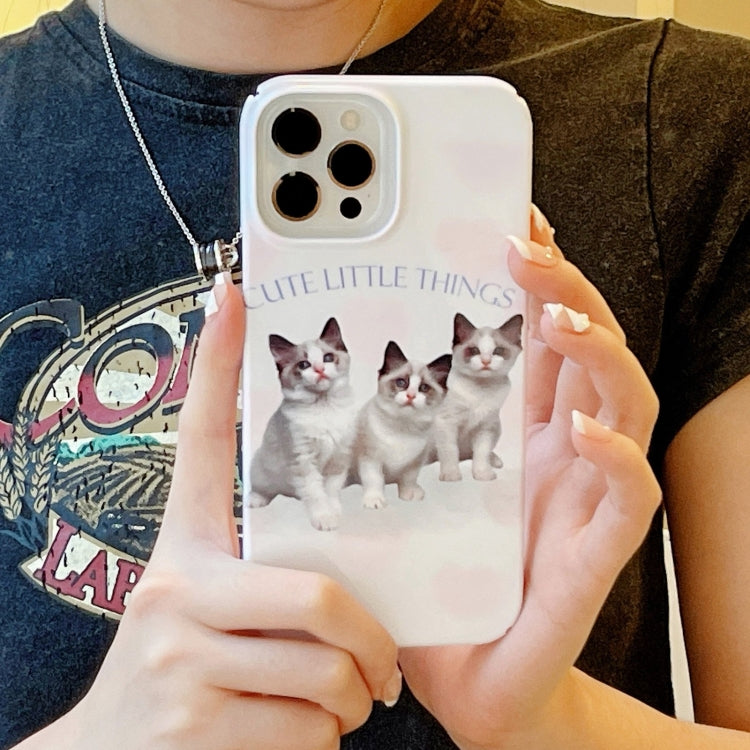 For iPhone 15 Pro Cartoon Film Craft Hard PC Phone Case(Three Cute Cats) - HoMEdemic™ 