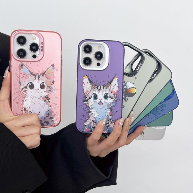 For iPhone 15 Pro Dual-sided IMD Animal Graffiti TPU + PC Phone Case(Grinning Cat) - HoMEdemic™ 