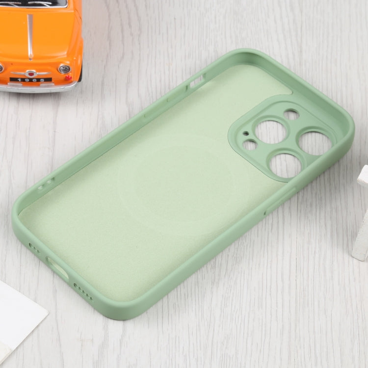 For iPhone 15 Pro Liquid Silicone Magsafe Phone Case(Green) - HoMEdemic™ 