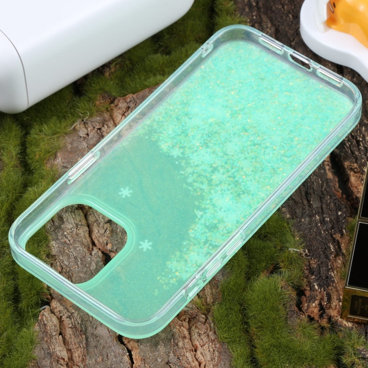 For iPhone 15 Pro Max DFANS DESIGN Snowflake Starlight Shining Phone Case(Green) - HoMEdemic™ 