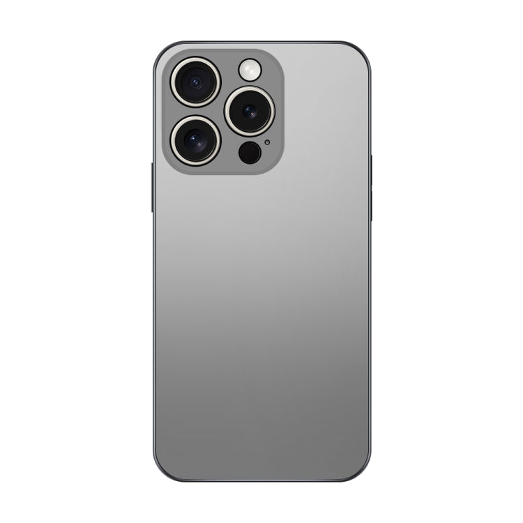 For iPhone 15 Pro Max Electroplating AG Frosted Phone Case(Silver Grey) - HoMEdemic™ 