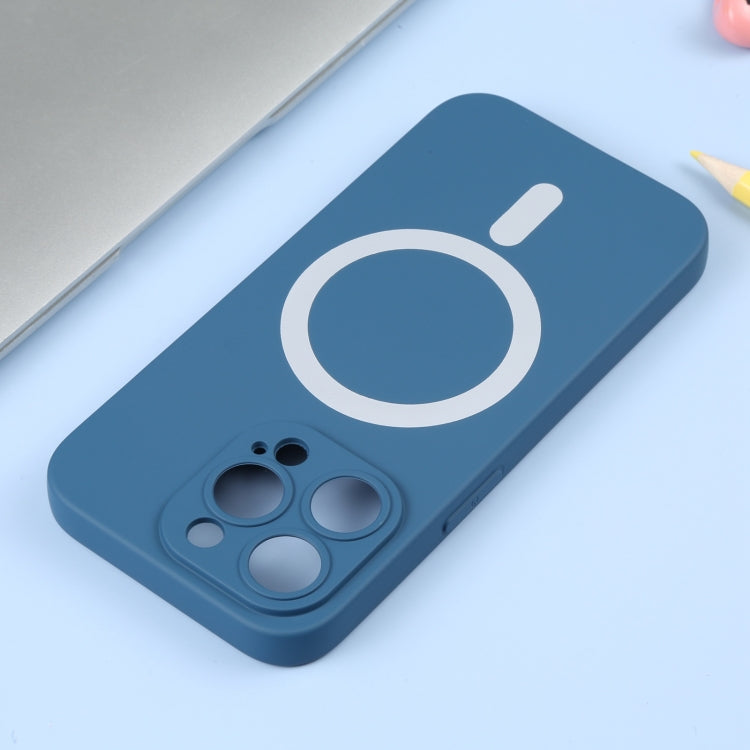 For iPhone 15 Pro Max Liquid Silicone Magsafe Phone Case(Blue) - HoMEdemic™ 