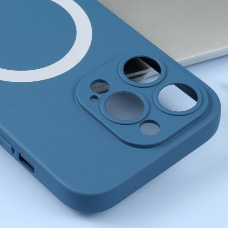 For iPhone 15 Pro Max Liquid Silicone Magsafe Phone Case(Blue) - HoMEdemic™ 