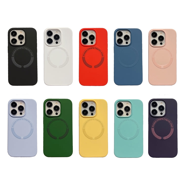 For iPhone 15 Pro Max Magsafe Magnetic Silicone Phone Case(Black) - HoMEdemic™ 