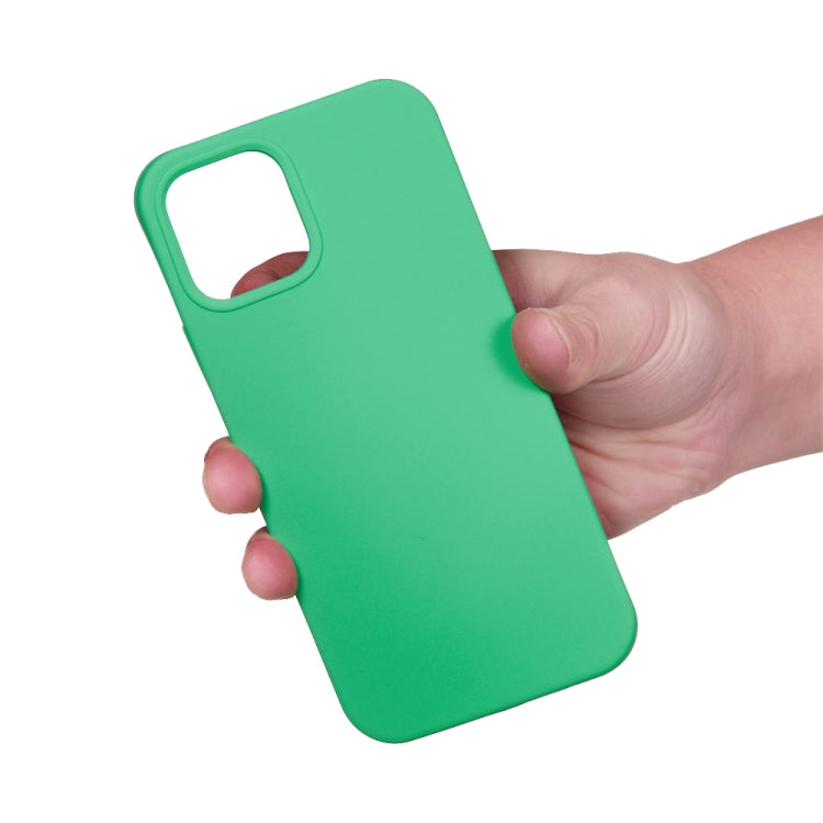 For iPhone 15 Pro Max Solid Color Silicone Phone Case(Green) - HoMEdemic™ 