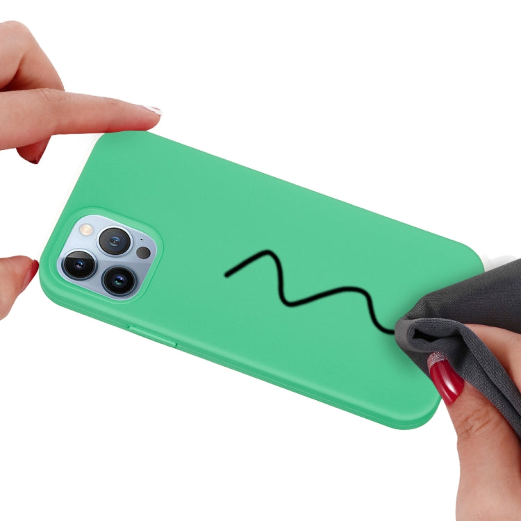 For iPhone 15 Pro Max Solid Color Silicone Phone Case(Green) - HoMEdemic™ 