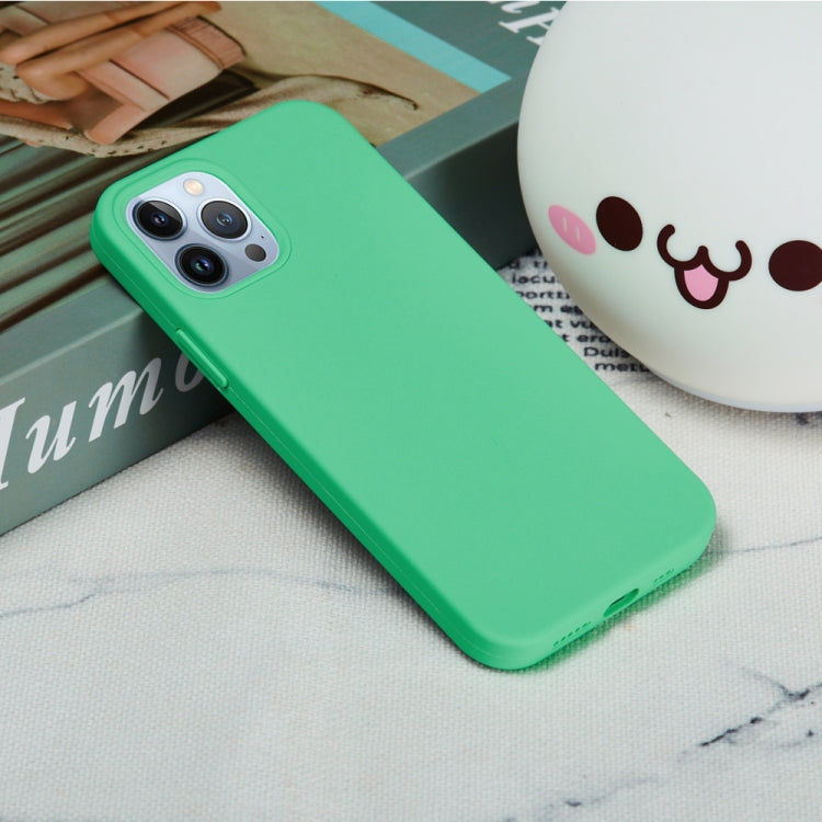 For iPhone 15 Pro Max Solid Color Silicone Phone Case(Green) - HoMEdemic™ 