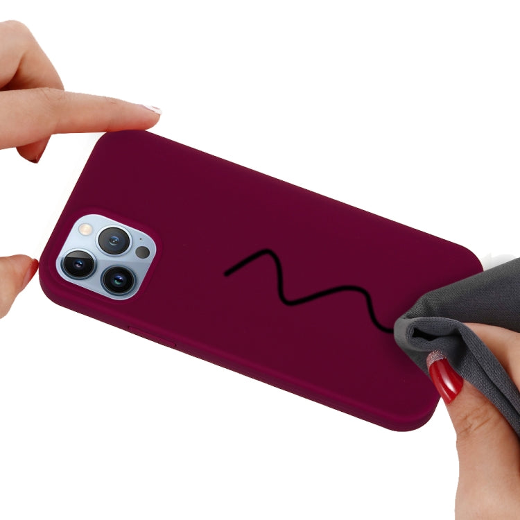 For iPhone 15 Pro Max Solid Color Silicone Phone Case(Violet) - HoMEdemic™ 