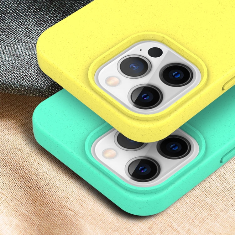 For iPhone 15 Pro Max Starry Series Shockproof Straw Material + TPU Protective Case(Green) - HoMEdemic™ 