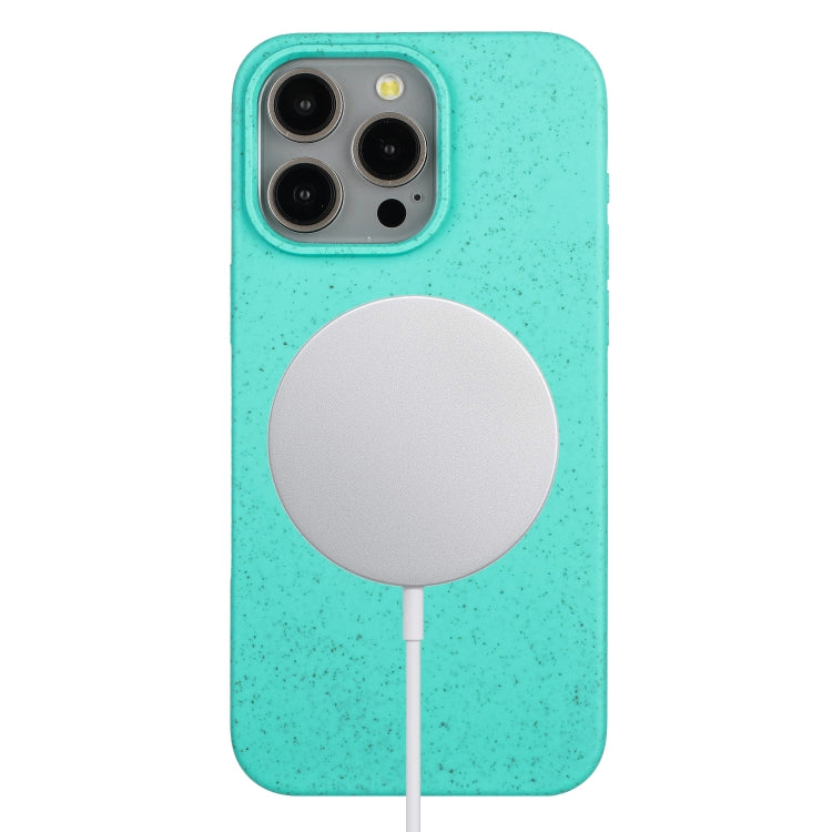For iPhone 15 Pro Max Wheat MagSafe Magnetic Straw Material + TPU Phone Case(Green) - HoMEdemic™ 